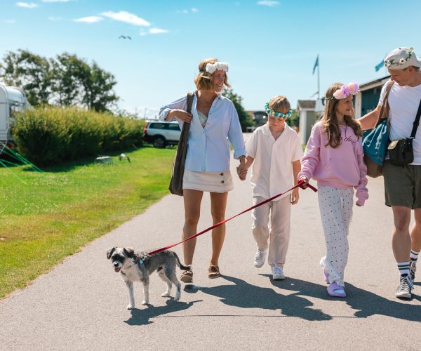 midsommar