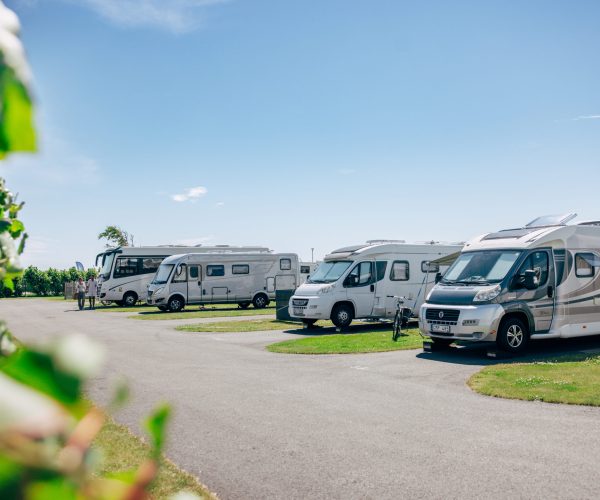 Hidvi_20260709_gettero╠ênscamping_-185