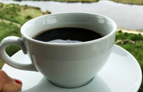 Cafe kvittra
